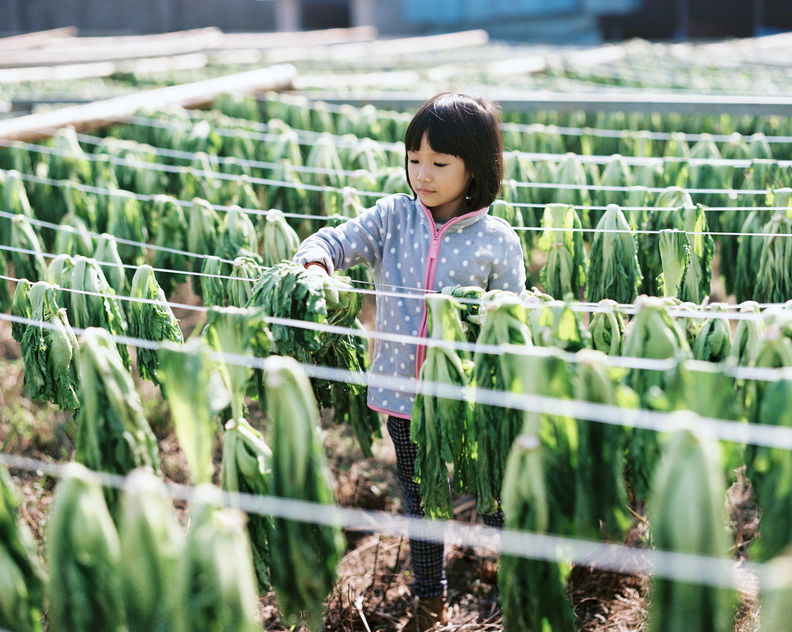Cute And Beautiful Asian Children In The Natural Vegetable Garden.by 120 Film