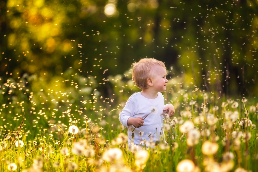 shutterstock_425751256